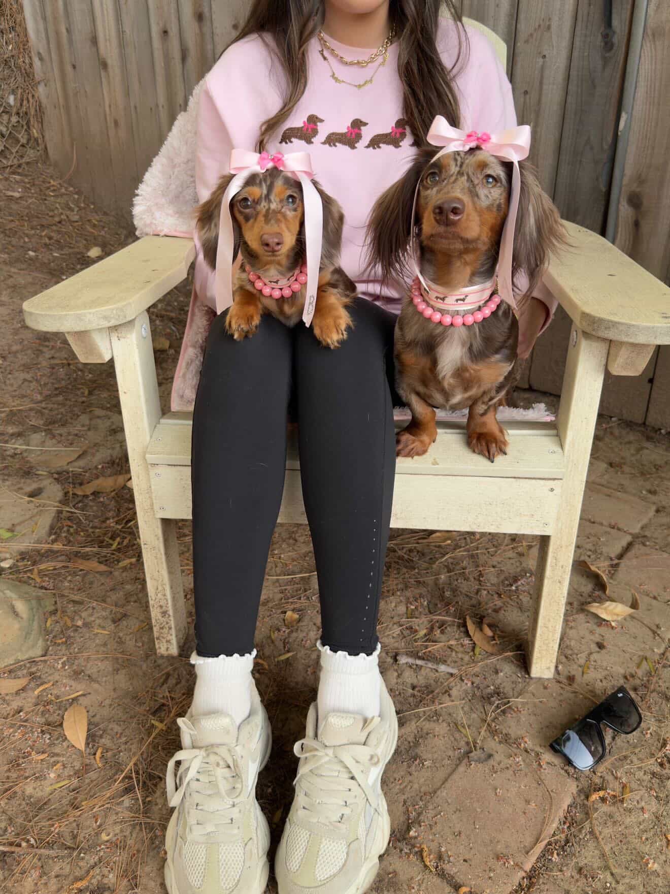 Coquette Chocolate Weenie Dog Sweatshirt