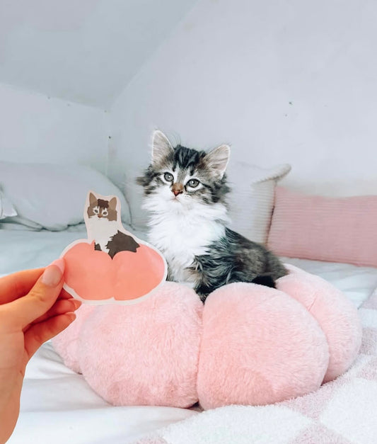 Custom Cat Sticker