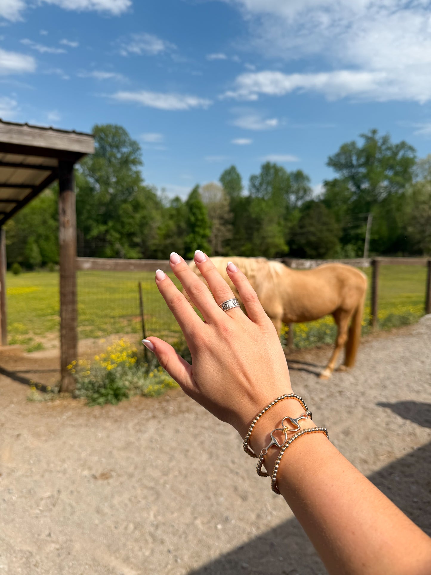 Horse Bit Bracelet Stack