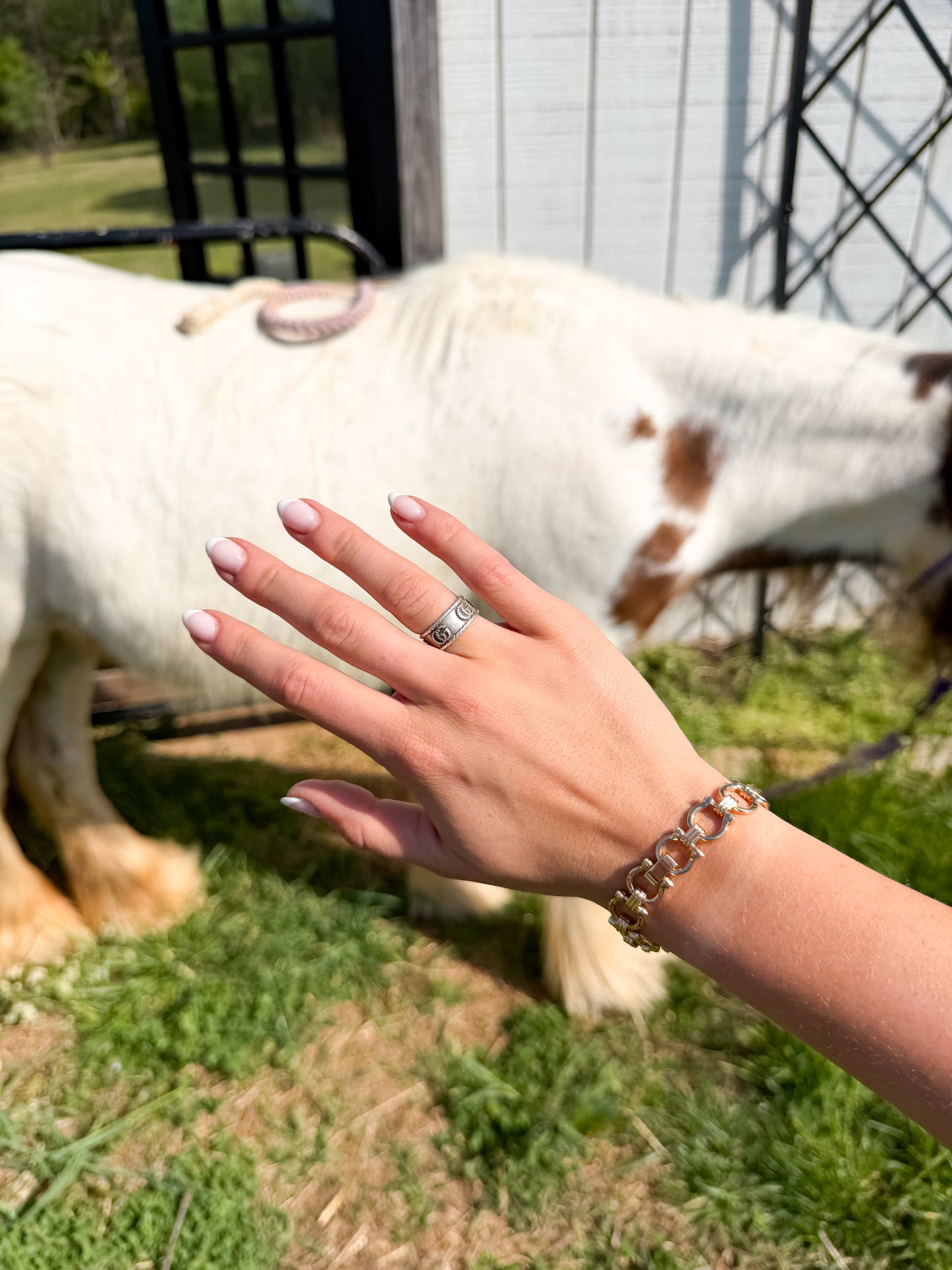 Horse Bit Clasp Over Bracelet